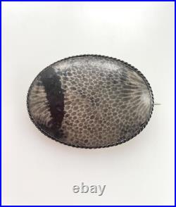 Antique Victorian Sterling Silver Scottish Fossil Agate Large Brooch Pin 2