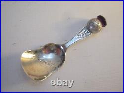 Birmingham 1924 Sterling Silver & Amethyst Thistle Caddy Spoon Inverness