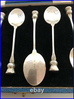 Cased Set Of 6 Scottish Sterling Silver Coffee Spoons With A Thistle Finial