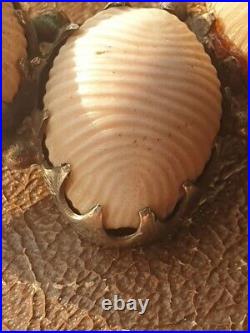 GEORGIAN SCOTTISH SILVER BROOCH Horseshoe Pink Cowrie Shells 19th Century