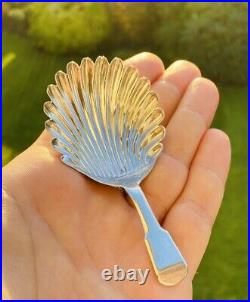 Rare 1813 Antique Scottish Sterling Silver Regency Shell Pattern Caddy Spoon