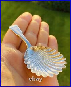 Rare 1813 Antique Scottish Sterling Silver Regency Shell Pattern Caddy Spoon