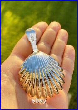 Rare 1813 Antique Scottish Sterling Silver Regency Shell Pattern Caddy Spoon