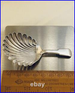 Rare 1813 Antique Scottish Sterling Silver Regency Shell Pattern Caddy Spoon