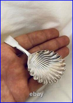 Rare 1813 Antique Scottish Sterling Silver Regency Shell Pattern Caddy Spoon