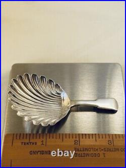 Rare 1813 Antique Scottish Sterling Silver Regency Shell Pattern Caddy Spoon