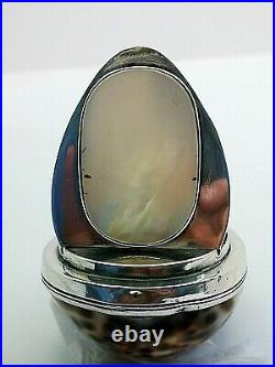 Scottish Provincial Silver. Silver mounted Cowrie Shell Snuff Box. Ca. 1800