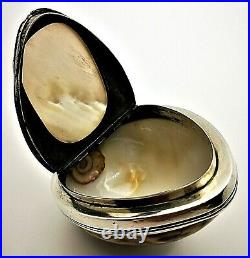 Scottish Provincial Silver. Silver mounted Cowrie Shell Snuff Box. Ca. 1800