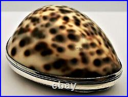 Scottish Provincial Silver. Silver mounted Cowrie Shell Snuff Box. Ca. 1800