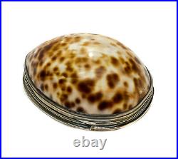 Scottish Sterling Silver Cowry Shell Snuff Box, George III 1799