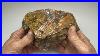 Slabbing A Beautiful Moss Agate Featuring Bridges
