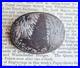 Victorian Sterling Silver Scottish Agate Fossil Brooch
