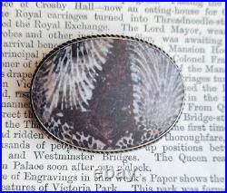 Victorian Sterling Silver Scottish Agate Fossil Brooch