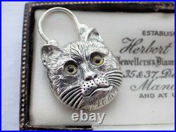 Vintage Scottish Silver Agate Cat Padlock Locket for Bracelet Malachite Clasp